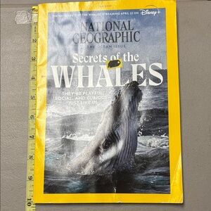National Geographic Yellow and Blue Whale Cover
